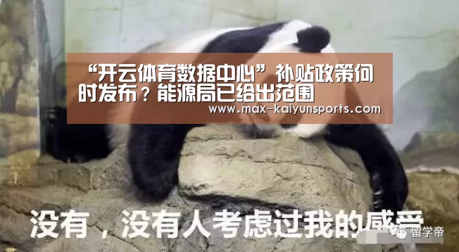 开云体育