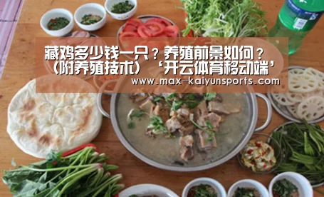 藏鸡多少钱一只?养殖前景如何?(附养殖技术)‘开云体育移动端’(图3) 开云体育数据中心