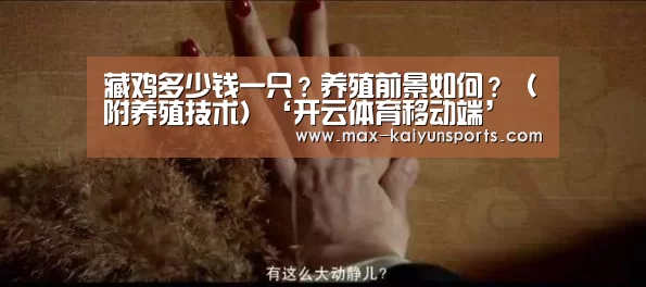 藏鸡多少钱一只?养殖前景如何?(附养殖技术)‘开云体育移动端’(图1) 开云体育数据中心