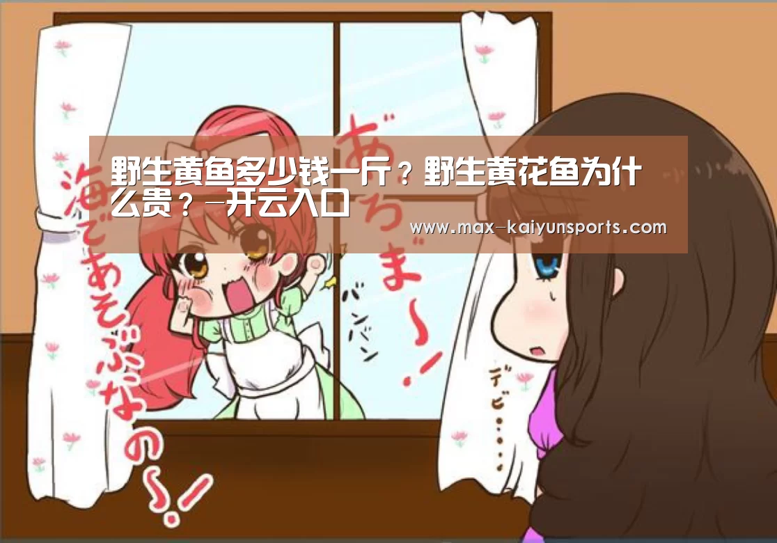 开云体育数据中心