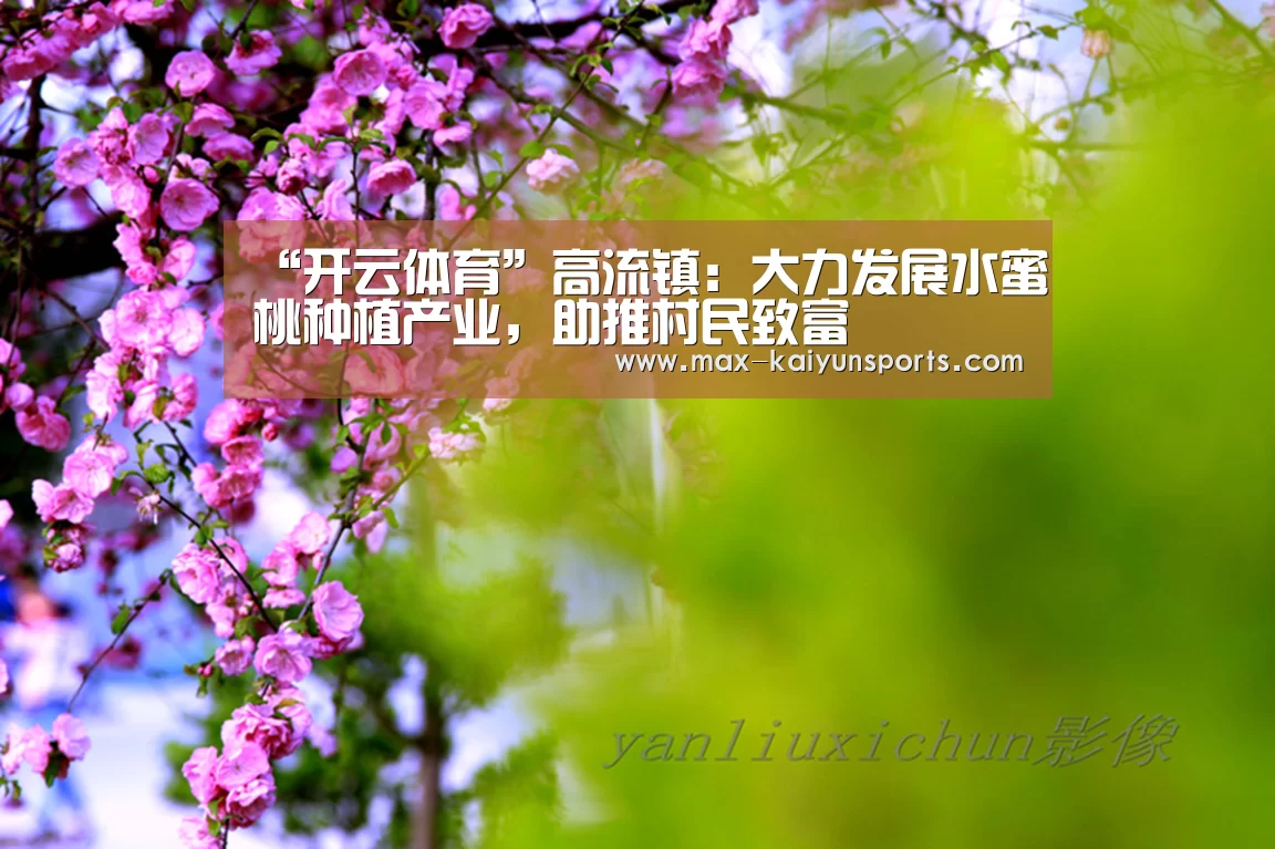KAIYUN官网