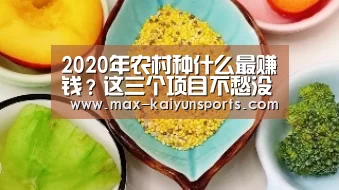 2020年农村种什么最赚钱?这三个项目不愁没销路!|开云体育移动端(图1) 开云体育移动端