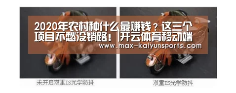 2020年农村种什么最赚钱?这三个项目不愁没销路!|开云体育移动端(图2) KAIYUN官网