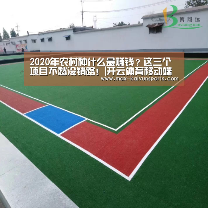2020年农村种什么最赚钱?这三个项目不愁没销路!|开云体育移动端(图3) 开云体育移动端